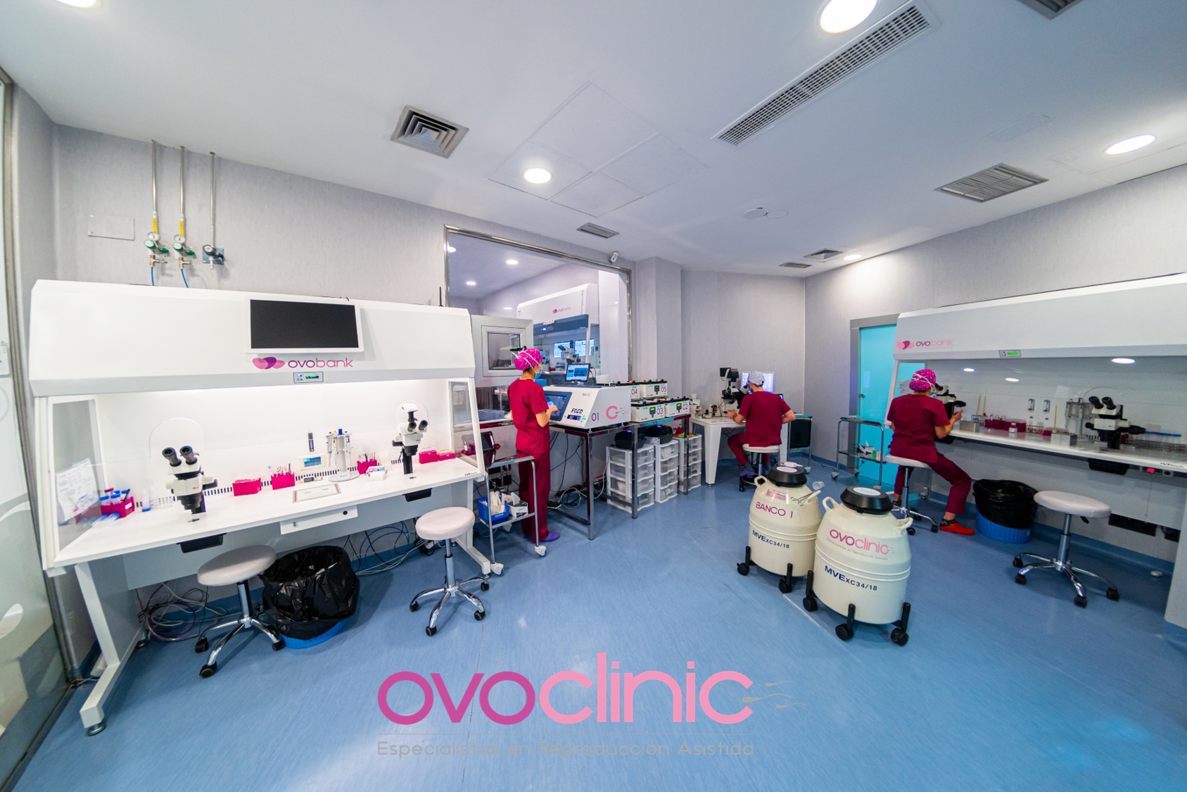 Dudas frecuentes en pacientes de Fecundaci�n in Vitro